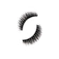 Lash Bash Eyelashes