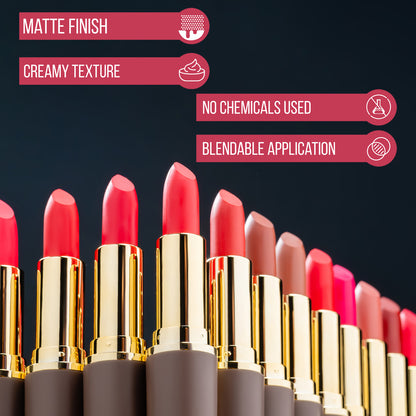 Matte Envy Lipstick Combos