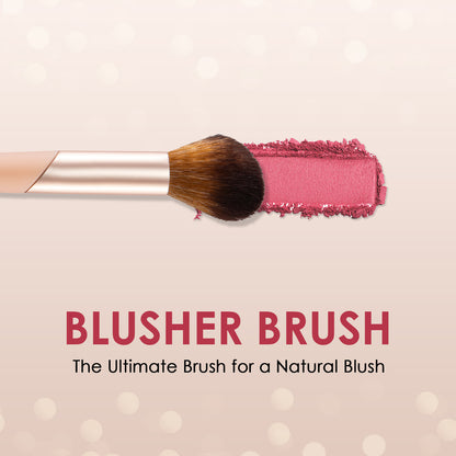 Lord Of The Brushes Blusher Brush